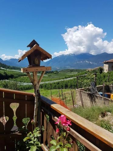 Agritur Coryletum 4