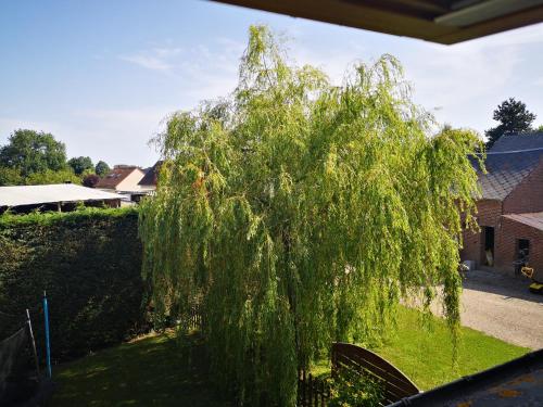 Gite a la Ferme - Baie de Somme - Location saisonnière - Saint-Quentin-la-Motte-Croix-au-Bailly