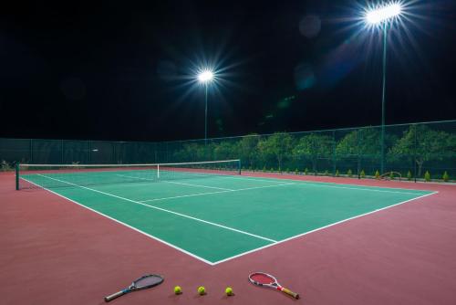 Queen Electra with pool and tennis court