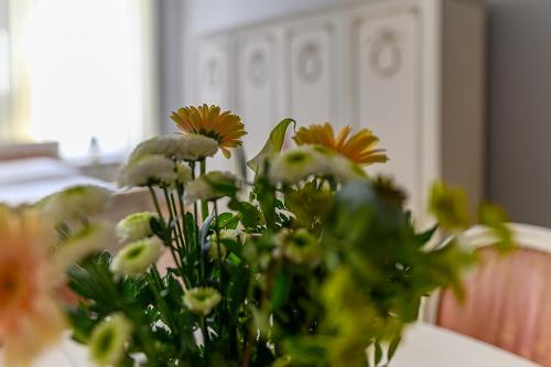 Facilities, Penzion Florian Telc in Telc