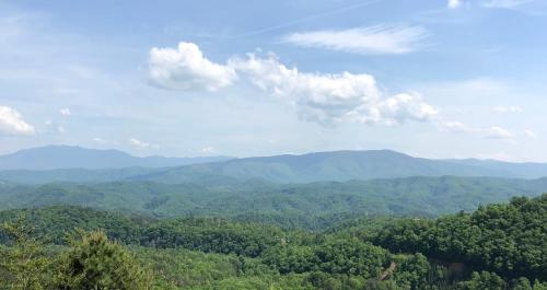 Above ALL, Sevierville (zdjęcie 2)