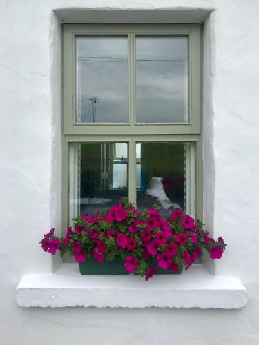 The Old Cottage 4