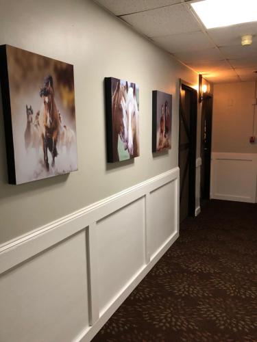 Cedar Stables Inn & Suites in 桑達斯基市中心