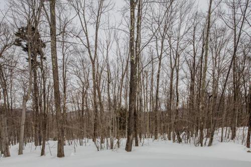 WoodsVillage34 - image 8