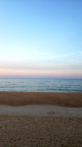 Marram