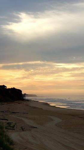 Marram in Montauk, USA