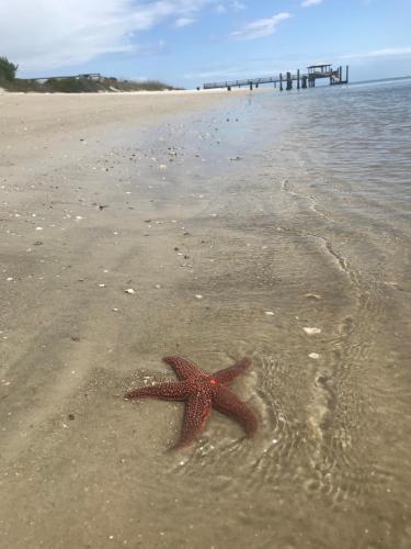 Hotel Tybee - image 5