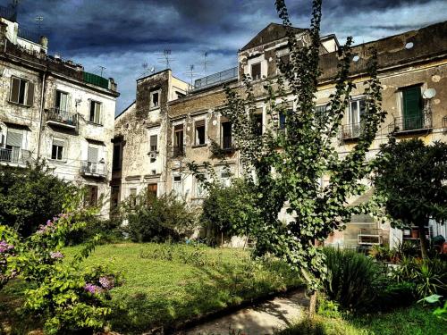 Il Giardino Di Vico Neve, Neapel (Foto 6)