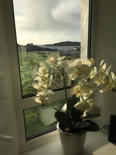 Étterem, Harris White Cottage in Rodel
