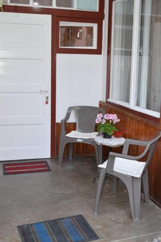 Serb Rafila - image 4