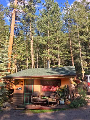 The Black Bear Cabin 8