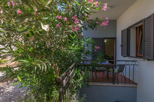 One-Bedroom Apartment - Ground Floor image 8
