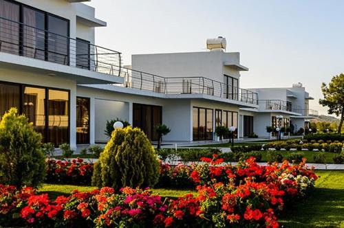 Cosmopolis Multi-Venue