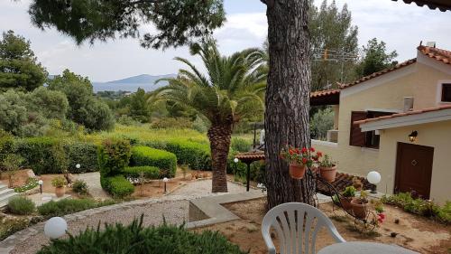  ΦΟΙΝΙΚΑΣ in Karafotaíika