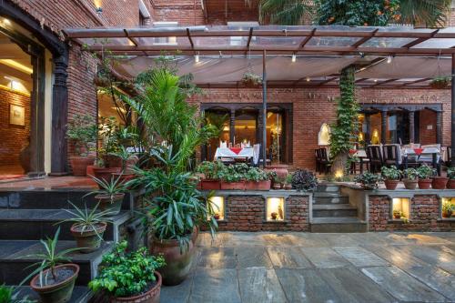 Great food & dining