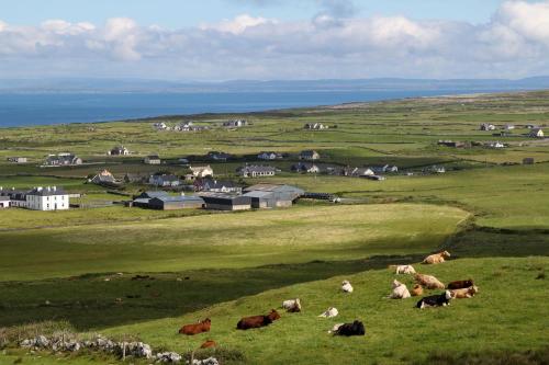 Surrounding environment, Atlantic Rose Cottage in Knocknaranhy