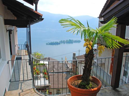 Apartment Casa Schalom-2 by Interhome - Ronco s/Ascona - Porto Ronco