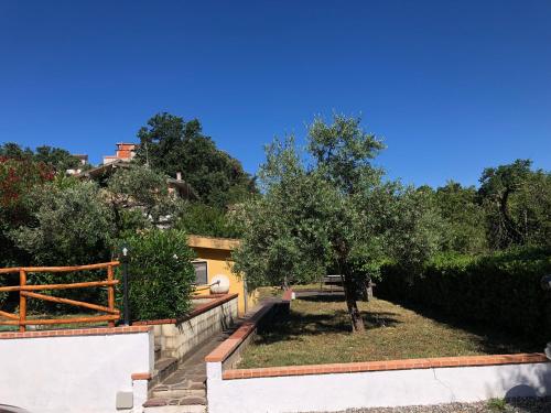 Casa Vacanze Nonna Suocera - San Severino