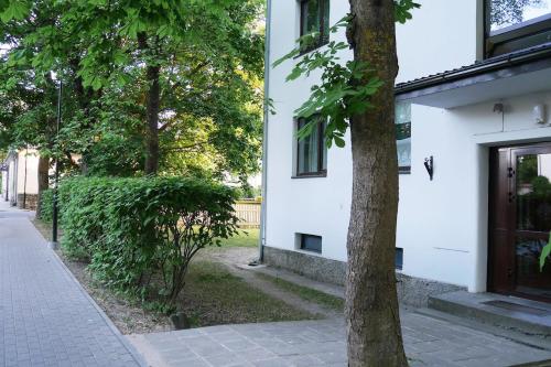 Maria Apartment Tolli in كوريسار