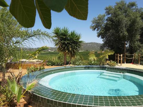  Anne Bed & Breakfastbb in Moncarapacho