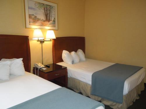 Travelodge by Wyndham Silver Spring - image 3