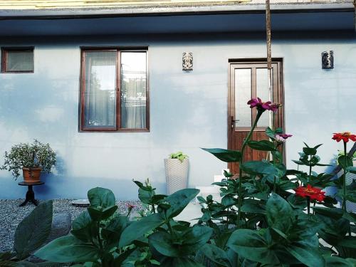 Rudolf - Apartment - Borjomi