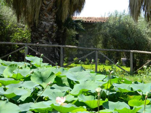 Agriturismo Gianferrante - image 11