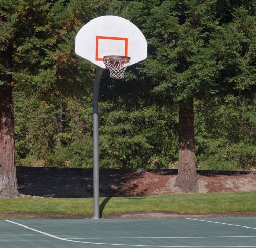WorldMark Bass Lake - image 7