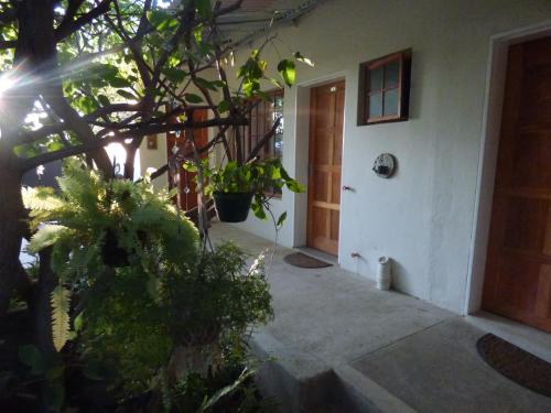 Tsumeb Backpackers & Safari