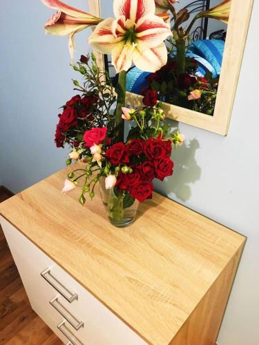  Wonderful Mediterranean Apartment with Garden in Kremasti