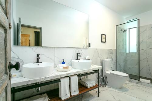 Orchid House Polanco Orchid House Polanco