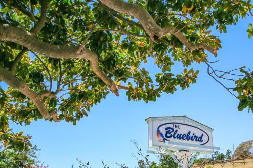 藍鳥賓館 (Bluebird Inn) in 坎貝里亞 (CA)