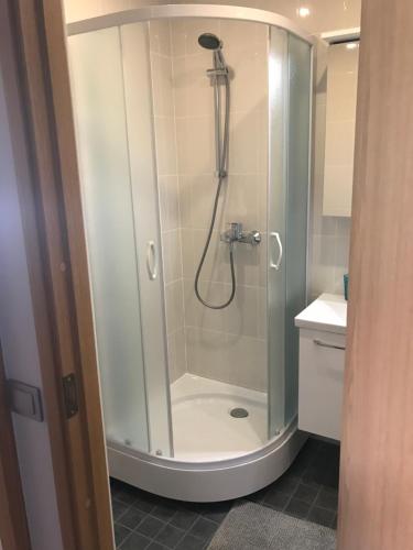 1-Bedroom apartment in city centre