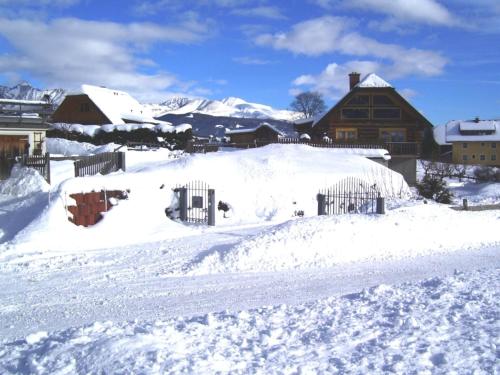 Log Home
