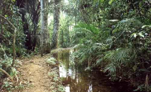 Pousada Vila Capelinha