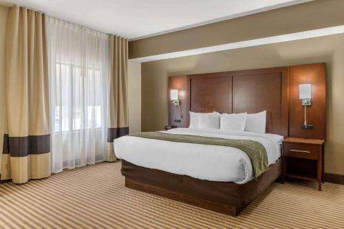 Comfort Suites Johnson City - image 2