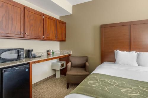 Comfort Suites Johnson City - image 5