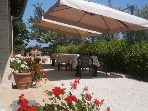 Tenuta Colverano - image 4