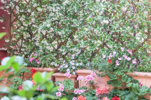 Casa in Monti - image 11