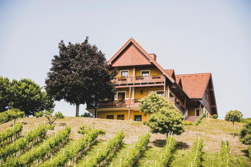 Hohler Appartement Gamlitz - Location saisonnière - Gamlitz