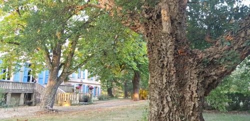 Le Manoir du Thouron