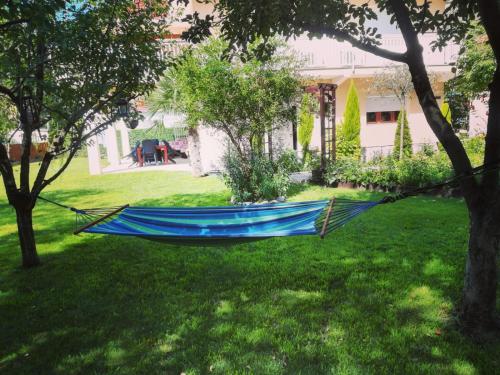 Riverside Guesthouse in Чапліна