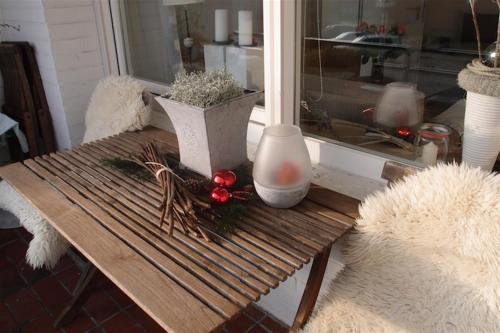 Duenenrose-Norderney