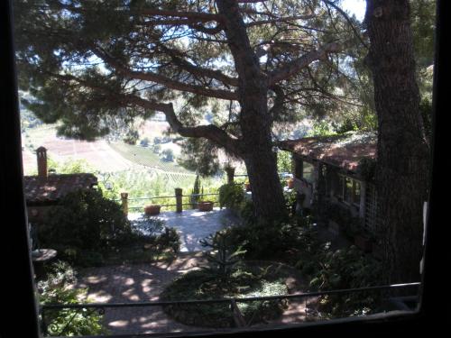 B&B Ippolito – Orvieto, VT