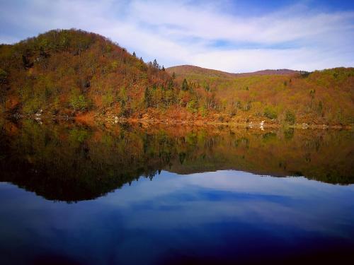  House D&A Hodak in Grabovac