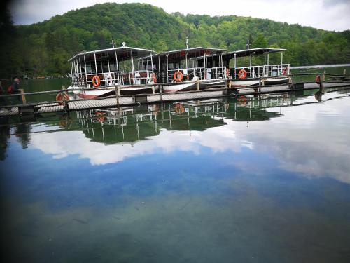  House D&A Hodak in Grabovac