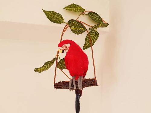 Parrot’s House