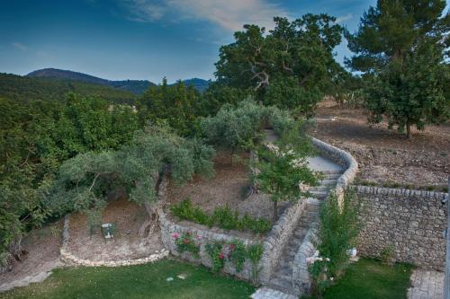 Villa Santa Margherita — Photo 3