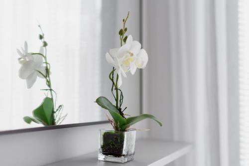 Apartments Kraków Rajska 3 by Noclegi Renters