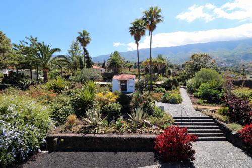 Apartamentos Miranda - image 9